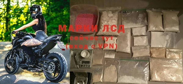 стаф Магадан