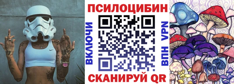 Галлюциногенные грибы мицелий  сайты даркнета формула  Петровск-Забайкальский 